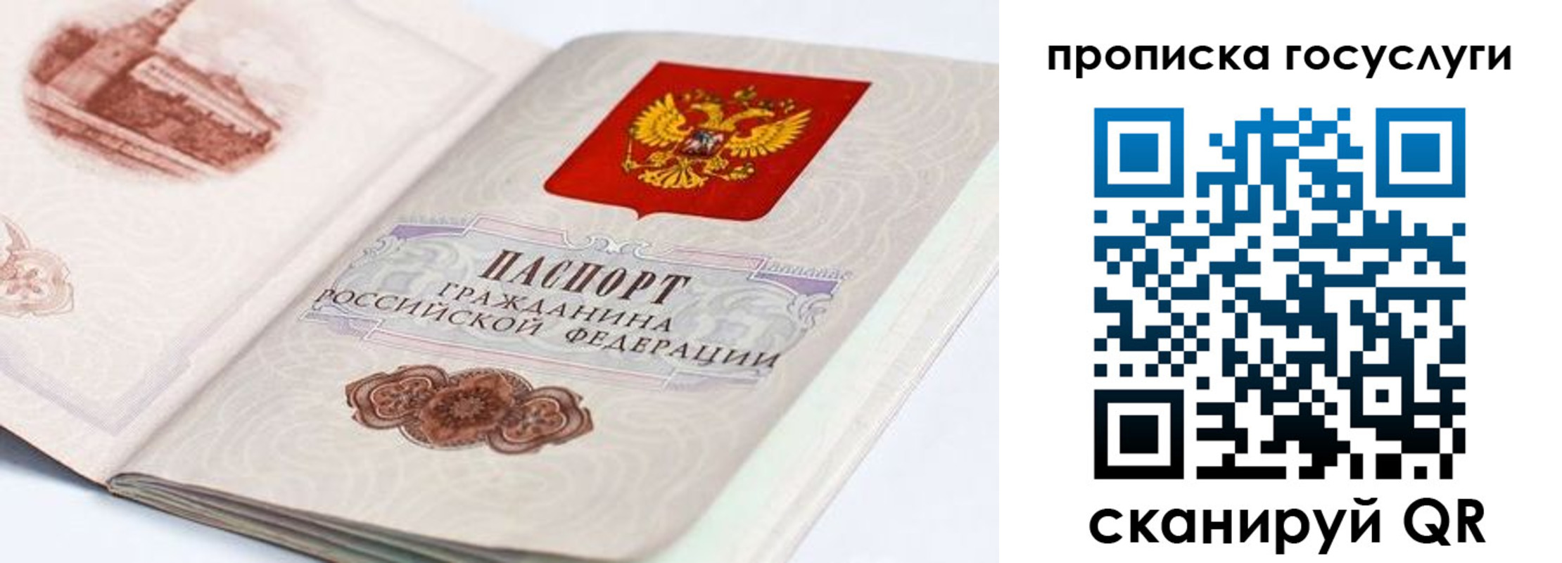 прописка регистрация в Волгоградской области